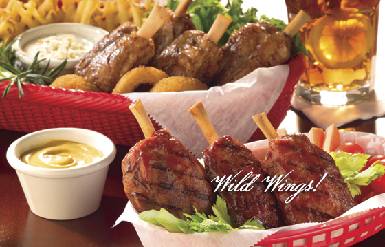 Wild Wings